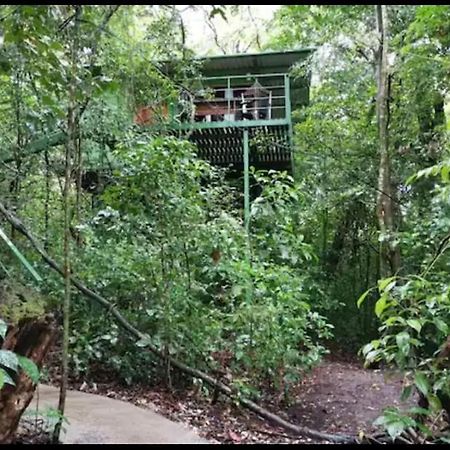 Jungle Living Tree Houses Monteverde Eksteriør bilde