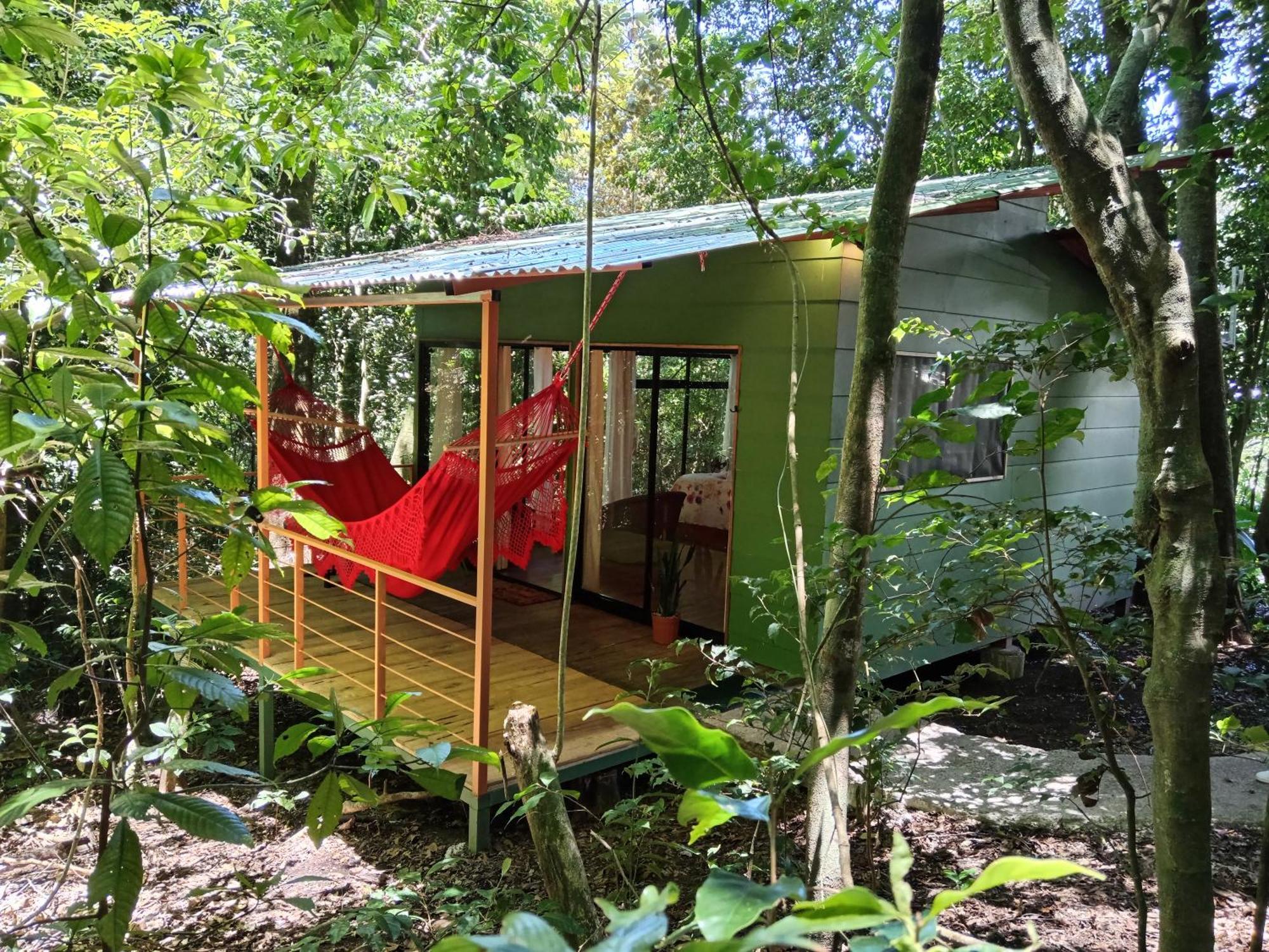 Jungle Living Tree Houses Monteverde Eksteriør bilde