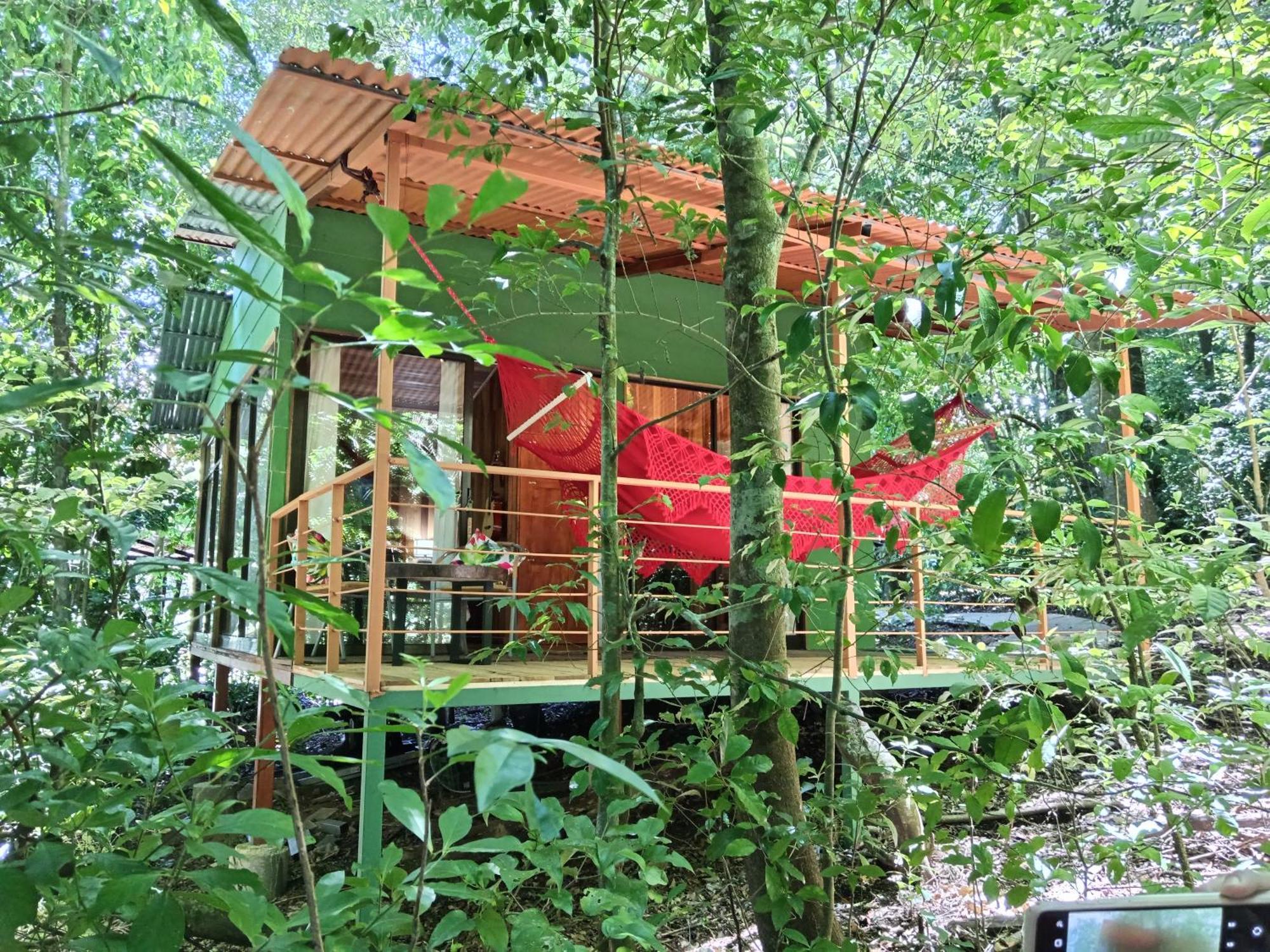Jungle Living Tree Houses Monteverde Eksteriør bilde