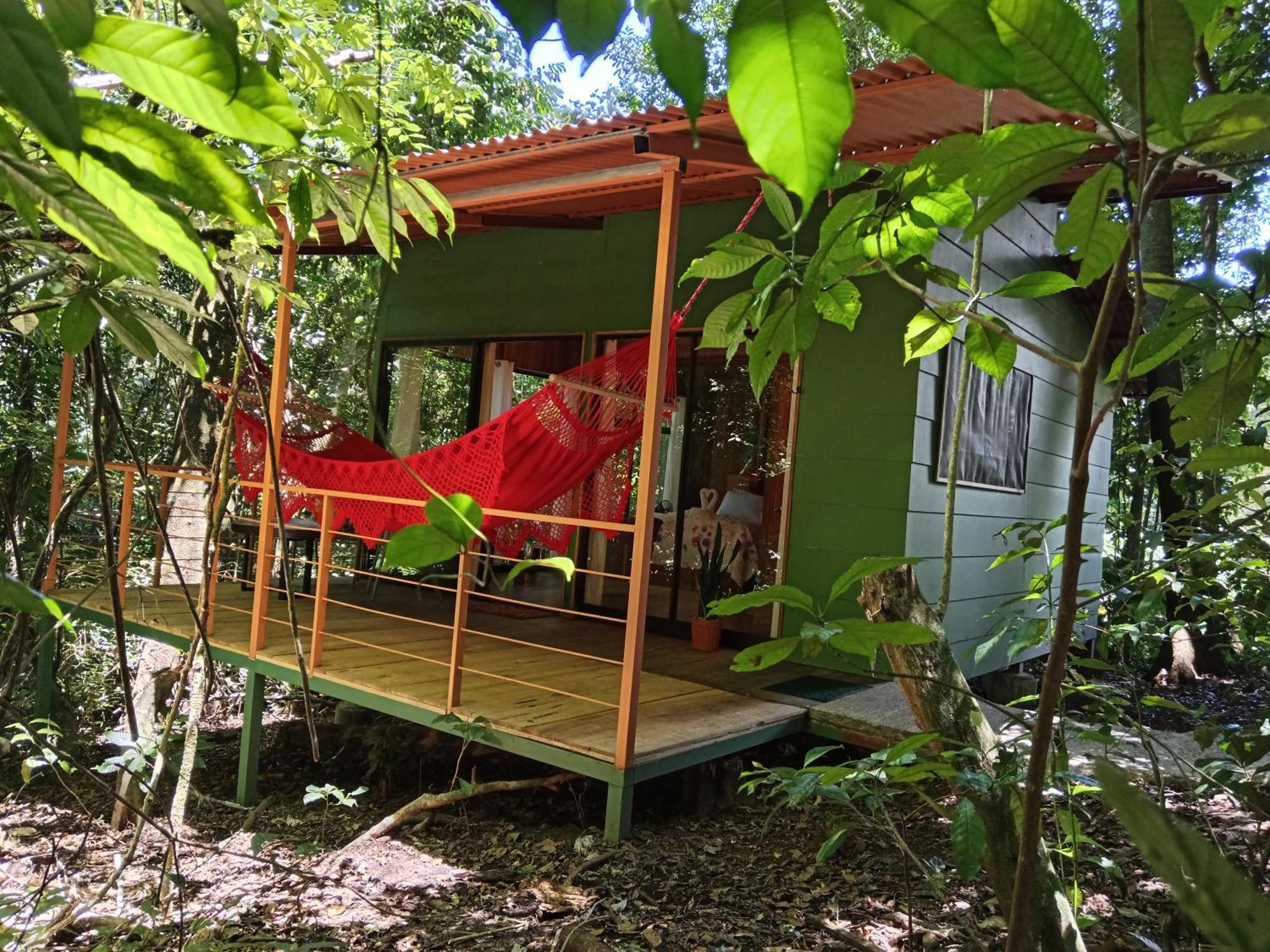 Jungle Living Tree Houses Monteverde Eksteriør bilde