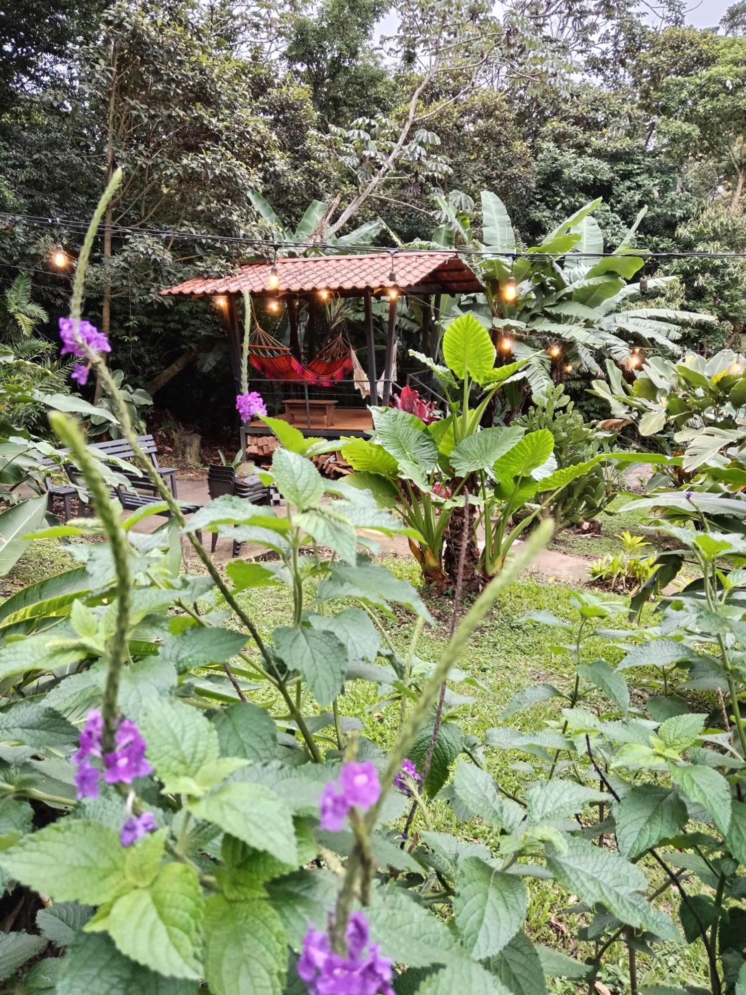 Jungle Living Tree Houses Monteverde Eksteriør bilde